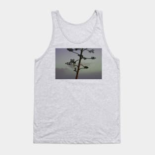 Agave flower stalk and clouds Tank Top